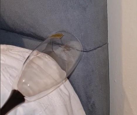 Araña tigre siendo reubicada