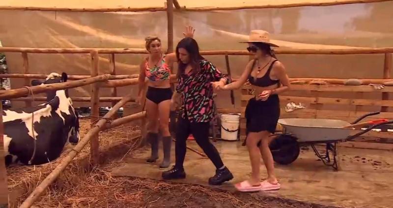 Pelea Angélica Sepúlveda y Fran