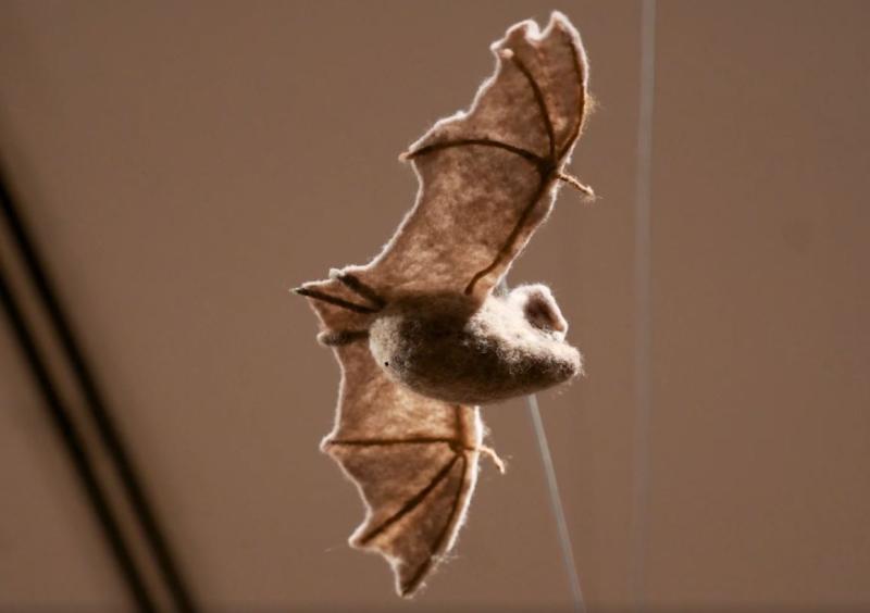 Obra de Rodrigo Arteaga