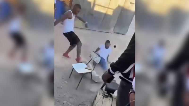 Maltrato animal en Copiapó - T13.cl