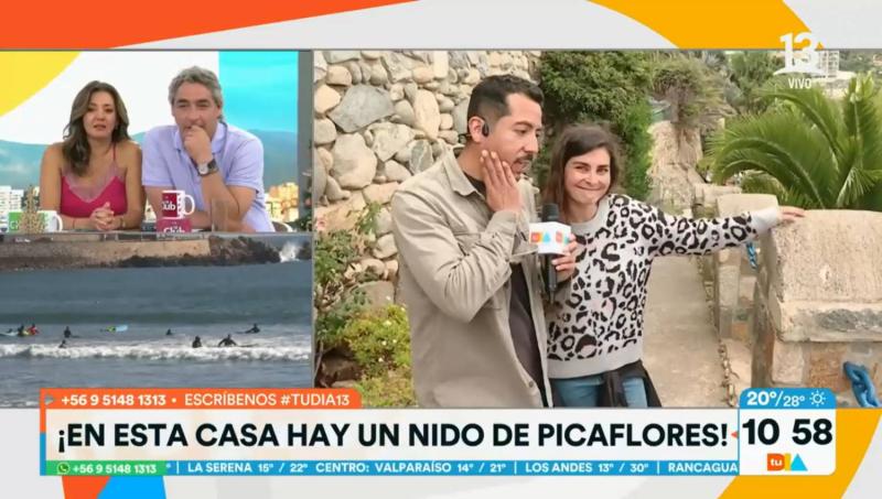 Picaflores en Tu Día