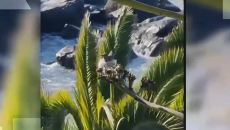 La historia que emocionó a José Luis Repenning