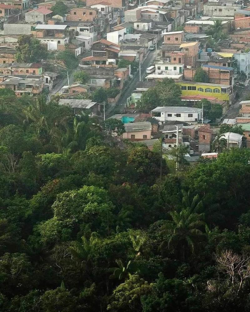 Límite entre Amazonas y Manaos. Créditos: AFP