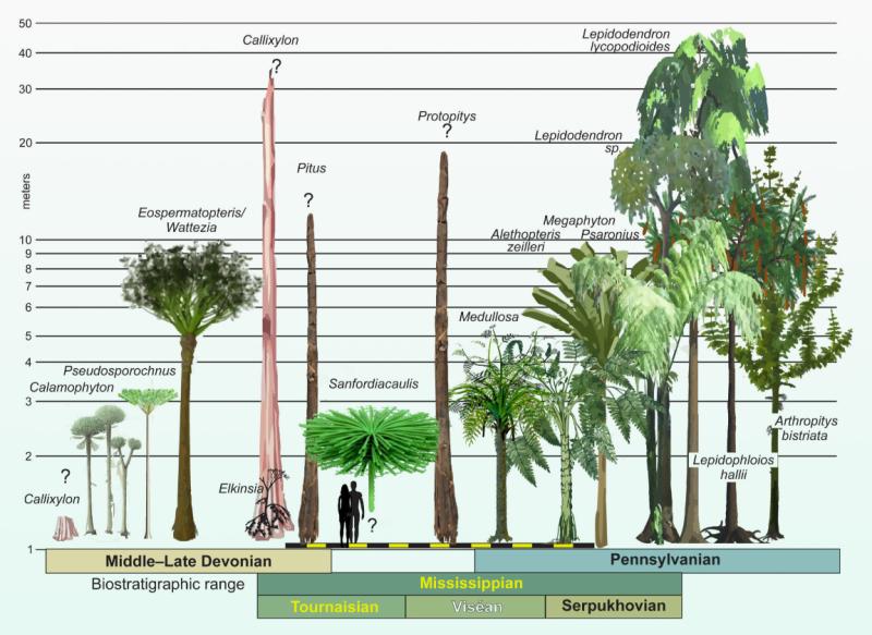 Árbol alienígena. Créditos: Sci News