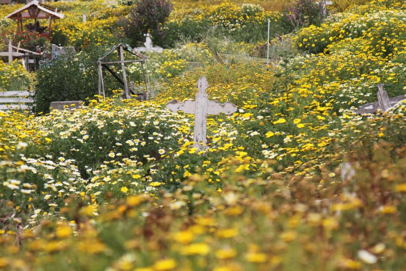 ¿Qué significa soñar que tu suegra fallece? - Créditos: Agencia Uno