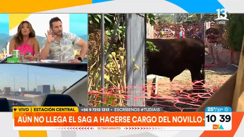 Priscilla Vargas lanzó descargo por tardanza del SAG