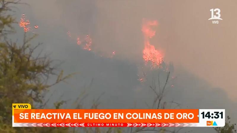 Evacuan sector de Colinas de Oro en Quilpué