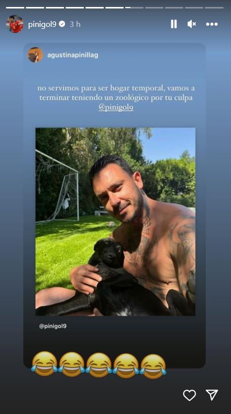Mauricio Pinilla adoptó a una perrita afectada por los incendios en Viña del Mar.