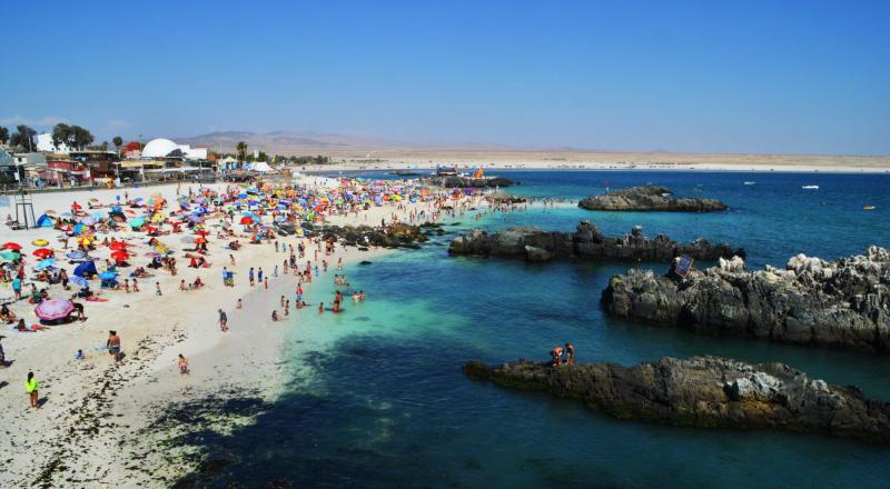 Hoy comienza el Festival Internacional de Gastronomía Bahía Inglesa 2024 “Cocinas del Pacífico”