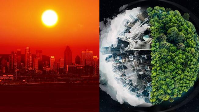 Imagen referencial. Créditos: iStock