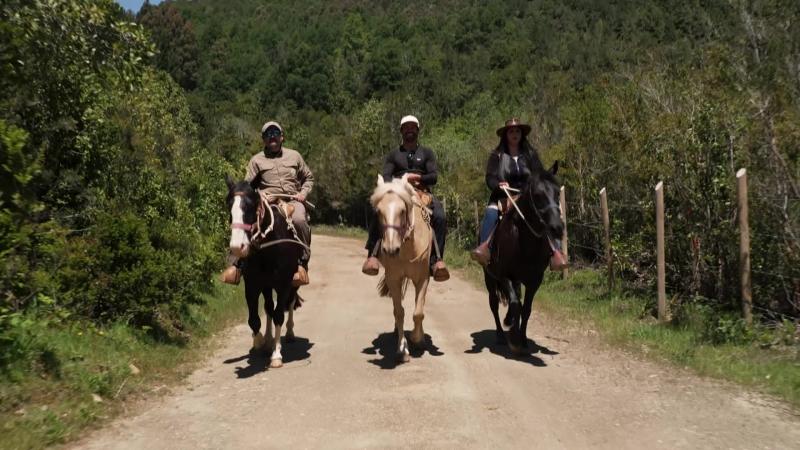 Francisco Puelles en Valdivia