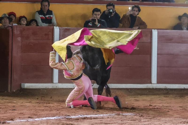 El torero José Alberto Ortega fue embestido por un toro - Créditos: Captura