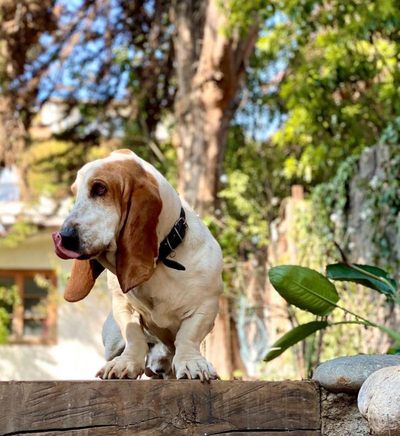 Cristián Arriagada - Instagram