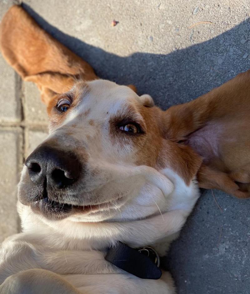 Cristián Arriagada - Instagram