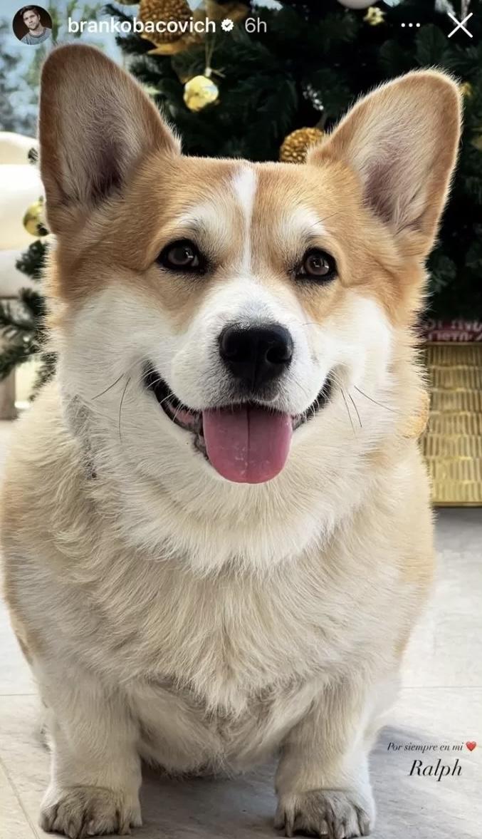 Branko Bacovich - Instagram