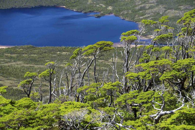 Isla virgen chilena. Créditos: Portal inmobiliario Hall & Hall