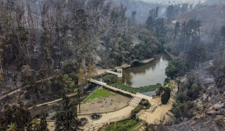 Jardín Botánico tras el incendio. Créditos: Agencia Uno
