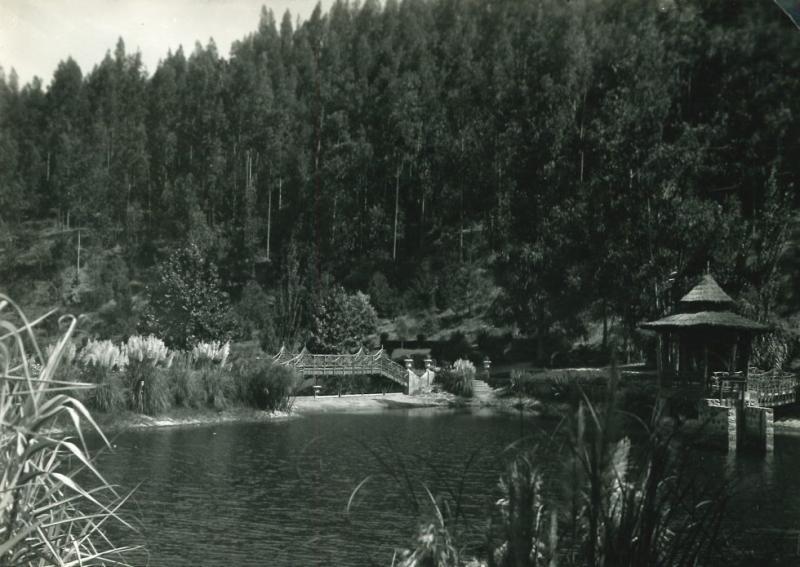 El Jardín Botánico Nacional en sus inicios