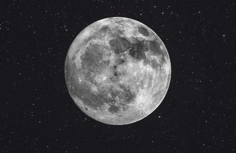 Luna. Créditos: Christophe Lehenaff