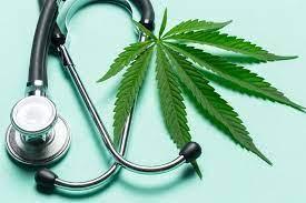 Marihuana para uso medicinal. Créditos: FabrikaSimf-Shutterstock