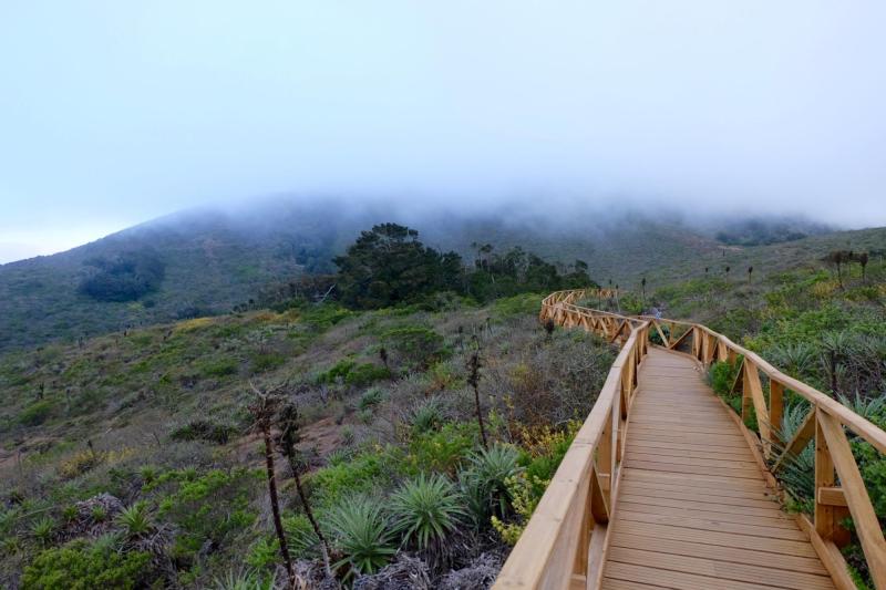 Parque Nacional Bosque Fray Jorge. Créditos: Bienes Nacionales
