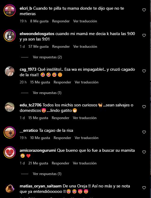 Comentarios publicación
