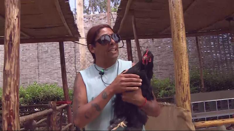 Botota toma a la gallina en Tierra Brava