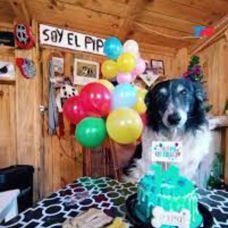 Pipo celebra su cumpleaños