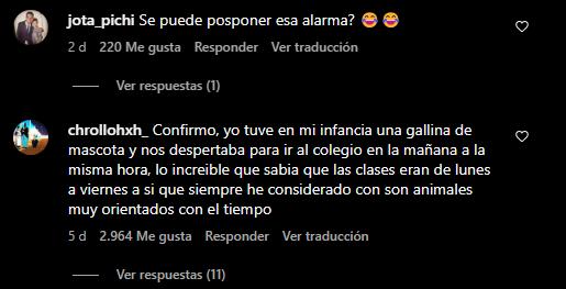 Comentarios publicación. Créditos: Instagram @eldiariony