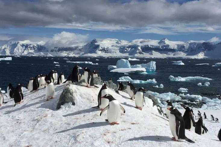Hielo marino. Créditos: Meteored