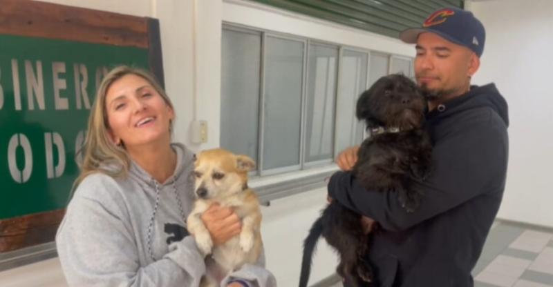 Perritos regresaron con su familia - Carabineros