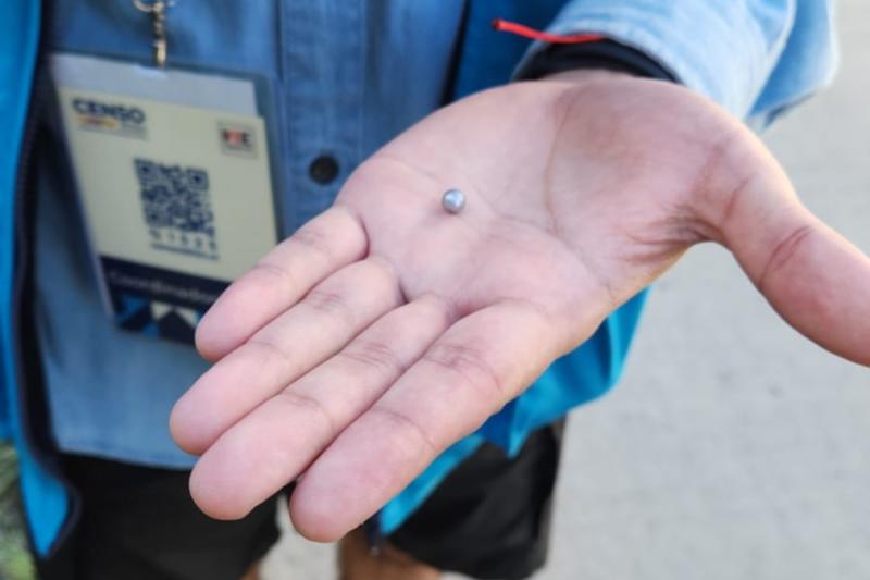 Censista recibe balín de acero en Rancagua - Redes sociales