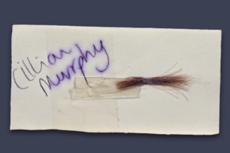 Cillian Murphy - Créditos: Paul Fraser Collectibles