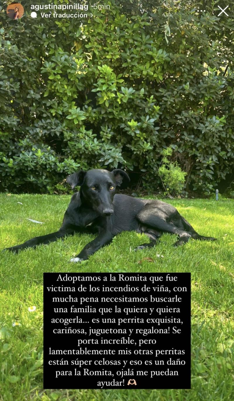 Hija de Mauricio Pinilla - Instagram