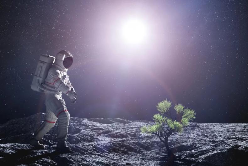 Imagen referencial. Créditos: Getty Images