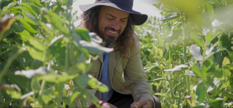 Vive Sustentable por Carlo Cocina