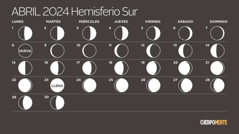 Cada cuánto tiempo debes cortarte el pelo para que luzca sano