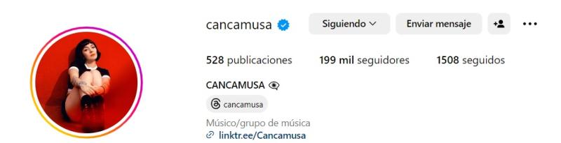 Seguidores de Cancamusa después de Viña 2024