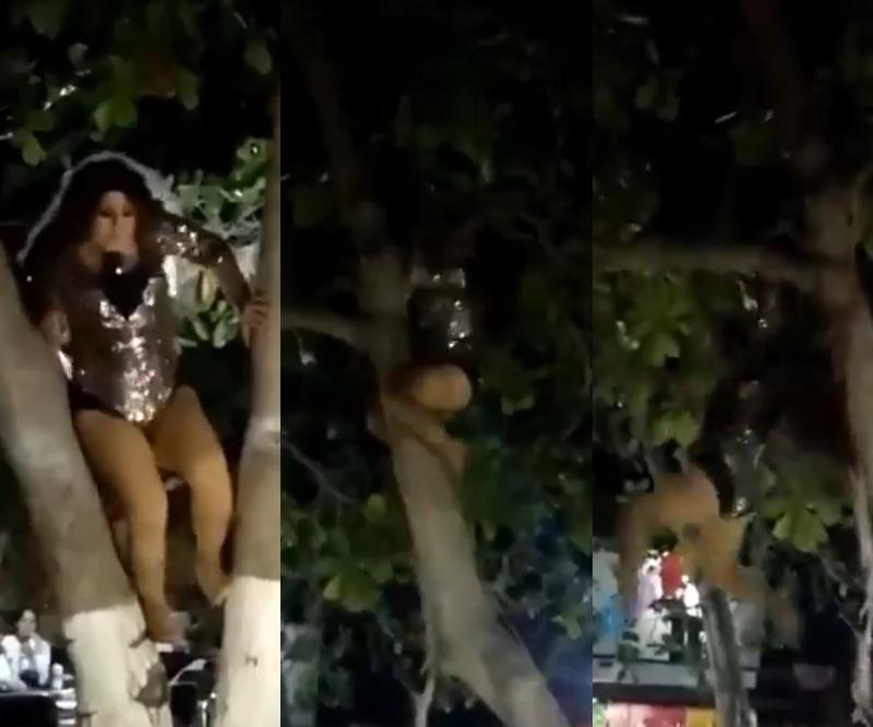 Doble de Gloria Trevi sufrió con su "pelo suelto" luego de trepar un árbol y caer estrepitosamente