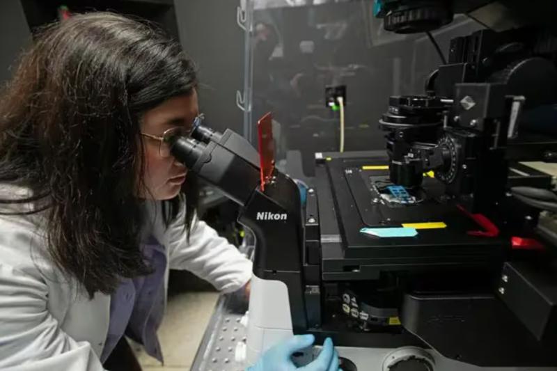 Siena Glenn, principal autora del estudio.