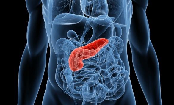 Imagen referencial del páncreas. Créditos: Getty Images
