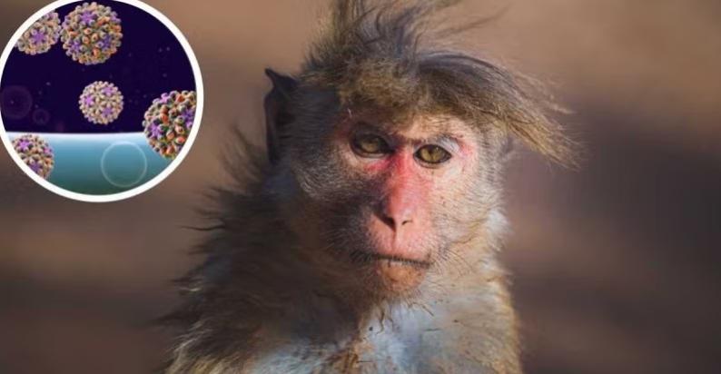 Imagen referencial. Créditos: Getty Images