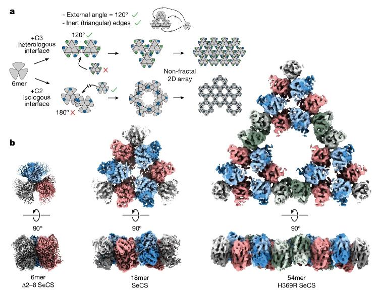 Imagen de referencia. Créditos: IMP / la Universidad de Philipps en Marburg