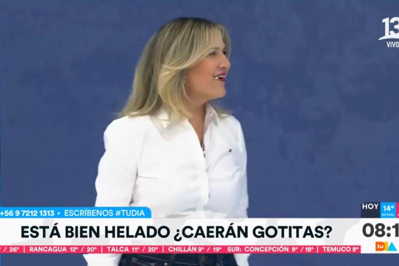 Michelle Adam en "Tu Día"