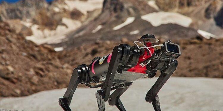 Perro robot. Créditos: imagen del video