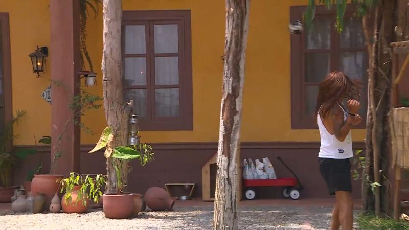 Botota ve cómo un pelotazo va directo al vidrio en Tierra Brava