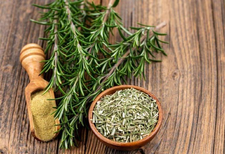 Imagen referencial. Créditos: Getty Images