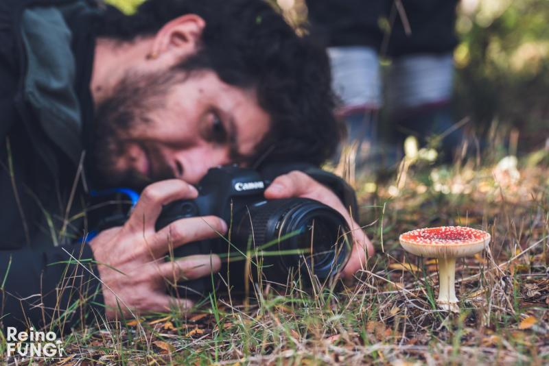 Llega Pucón la tercera versión del Festival Reino Fungi