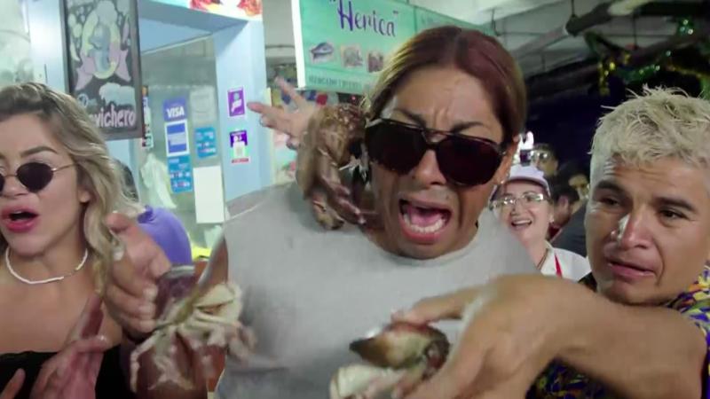 Botota Fox en Tierra Brava