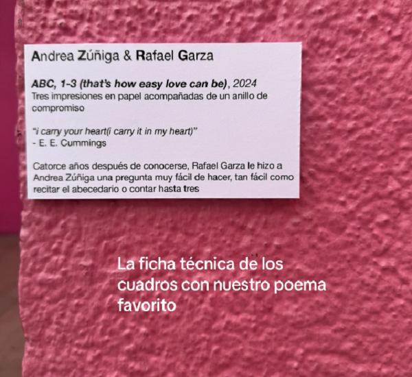 Propuesta de matrimonio en un museo causó revuelo en TikTok. Créditos: Captura